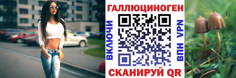 hydra как войти  Меленки  Псилоцибиновые грибы GOLDEN TEACHER 